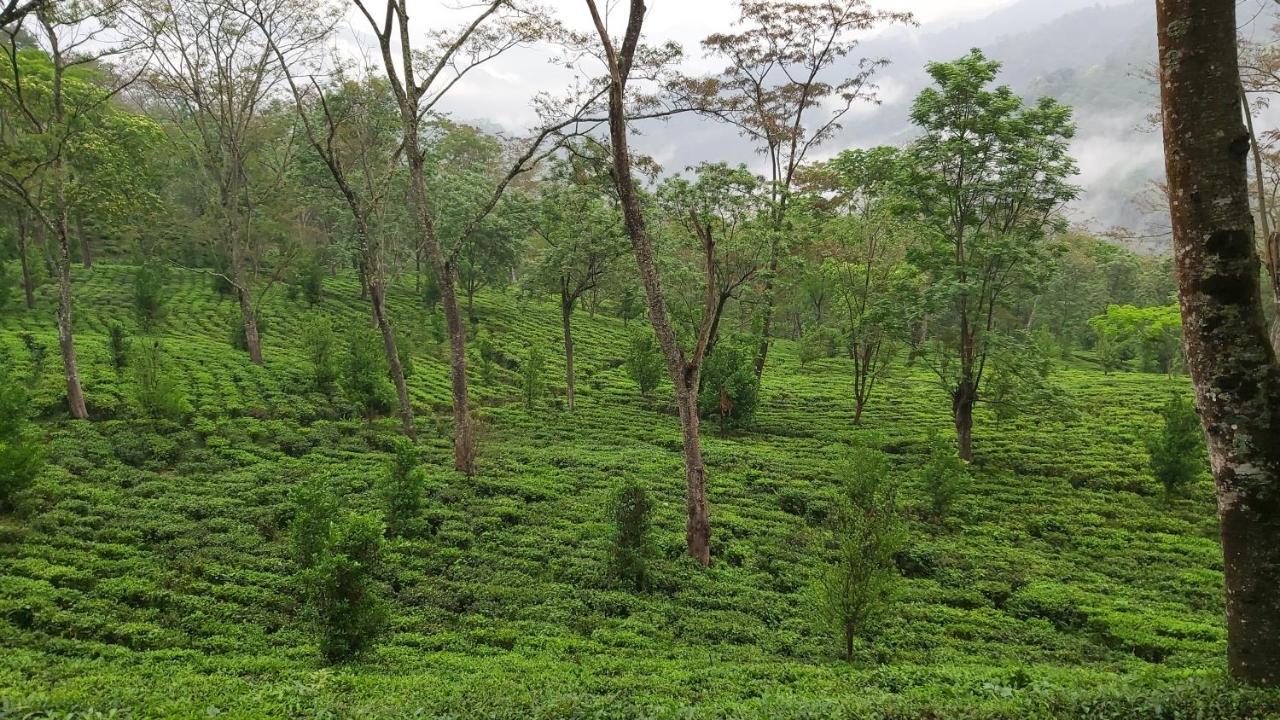 Eviana Homestay Darjeeling  Buitenkant foto