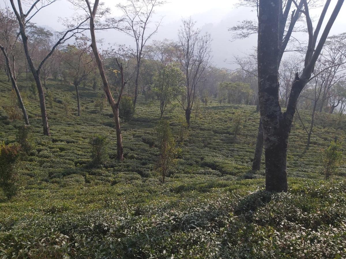 Eviana Homestay Darjeeling  Buitenkant foto