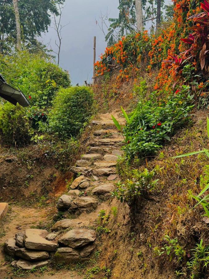 Eviana Homestay Darjeeling  Buitenkant foto