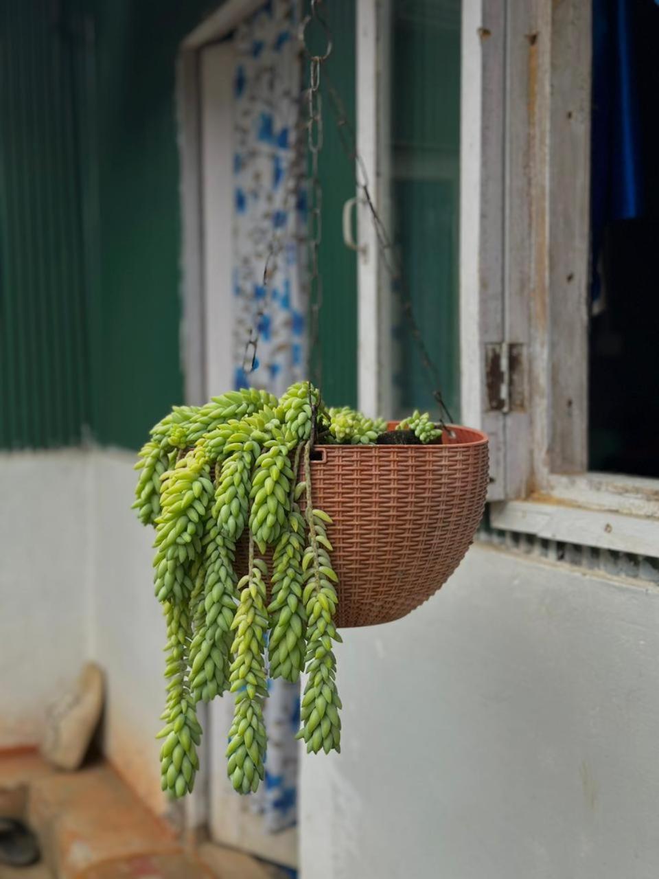 Eviana Homestay Darjeeling  Buitenkant foto