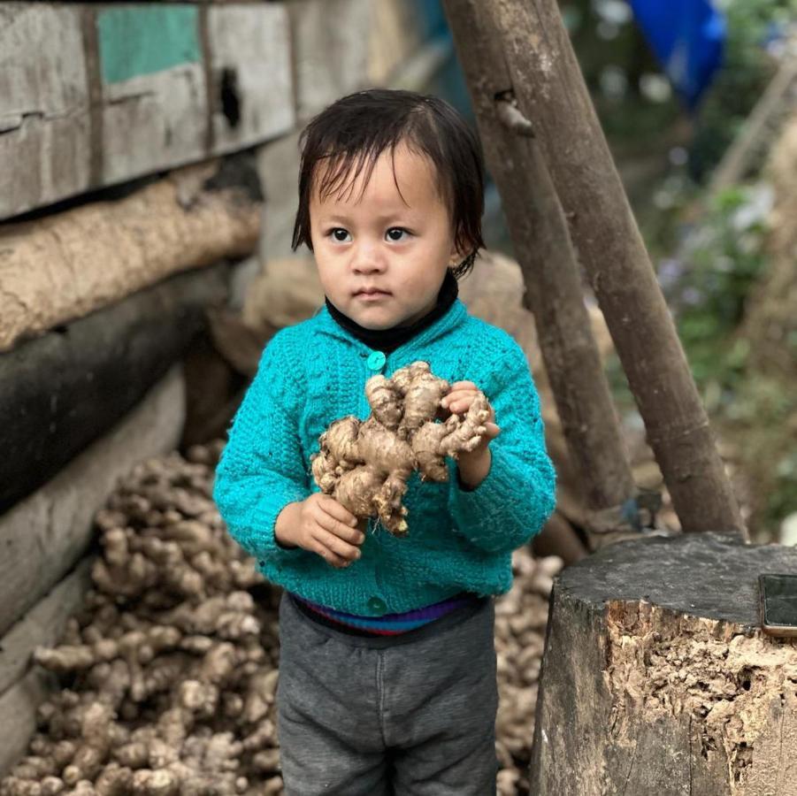 Eviana Homestay Darjeeling  Buitenkant foto